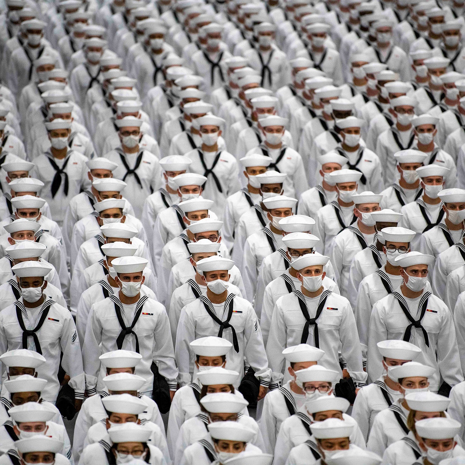 Navy Stores